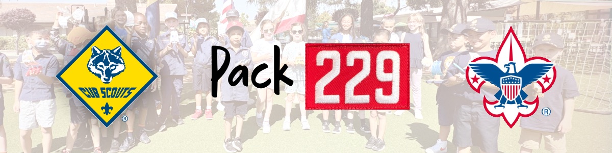 About HSS Pack 229